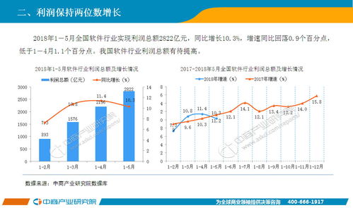 2018年1-5月中國軟件行業(yè)經(jīng)濟(jì)運(yùn)行情況月度報(bào)告——軟件服務(wù)